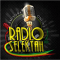 Radioselektah.com logo