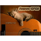 Radyo Efes logo