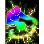 Sunshine Express logo