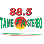 Tame FM Stereo logo