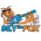 95.1 The Fox logo