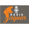 Radio Jaguar logo