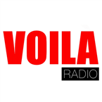 Voila logo