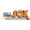 96.1 SOX logo