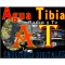 Agua Tibia Radio La voz de la verdad logo