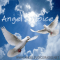 Angel’s Voice Radio logo