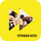 Antenne Steiermark Fitness Hits logo