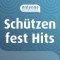 Antenne Niedersachsen Schützenfest Hits logo