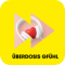 Antenne Steiermark Überdosis Gfühl logo