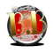 BBvostok logo
