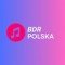 BDR Polska logo