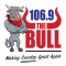 The Bull logo