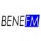 BeNeFM logo