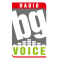 BG VOICE POP FOLK logo