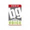 BG VOICE HIT MIX logo