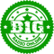 Big radio logo
