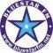 BluestarRadio logo