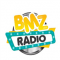 BMZ Radio logo