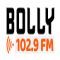 Intense 102.9 FM logo