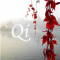 QI logo