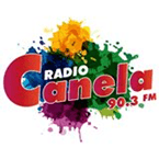 Canela FM Chile logo