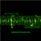 Cashman Radio logo