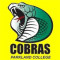 Cobra Sports Net logo