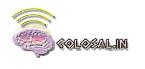 COLOSAL.IN logo