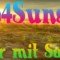 Disco 4 Sunshine Radio logo