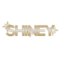 DJ Shiney logo