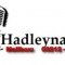 DJhadley logo