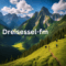 dreisessel_fm logo