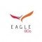 Eagle 80s logo