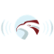 Eagle Radio (OC) logo