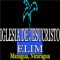 ELIM NICA logo