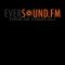 Eversound logo