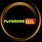 flysound-hits logo
