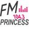 Fm Princess 104.3 logo