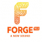 Forge 95.3 FM logo