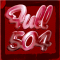 Full504 logo