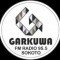 Garkuwa FM 95.5 Sokoto logo