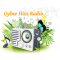 Gylne Hits Radio logo