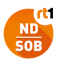 RT1 NDS logo