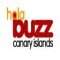 Buzz Fm Canary Islands logo