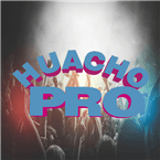 Huacho Pro logo