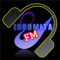 INDOMITA FM logo