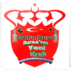 KralFmBursa logo