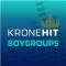 kronehit Boygroups logo