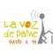 La Voz De Paine logo