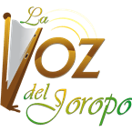 La VOZ del Joropo logo